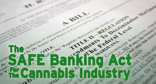 the_SAFE_banking_act_for_the_cannabis_industry_by-jennifer-felten