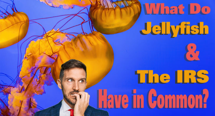 What do Jellyfish & The IRS have in common? Gary Weiss