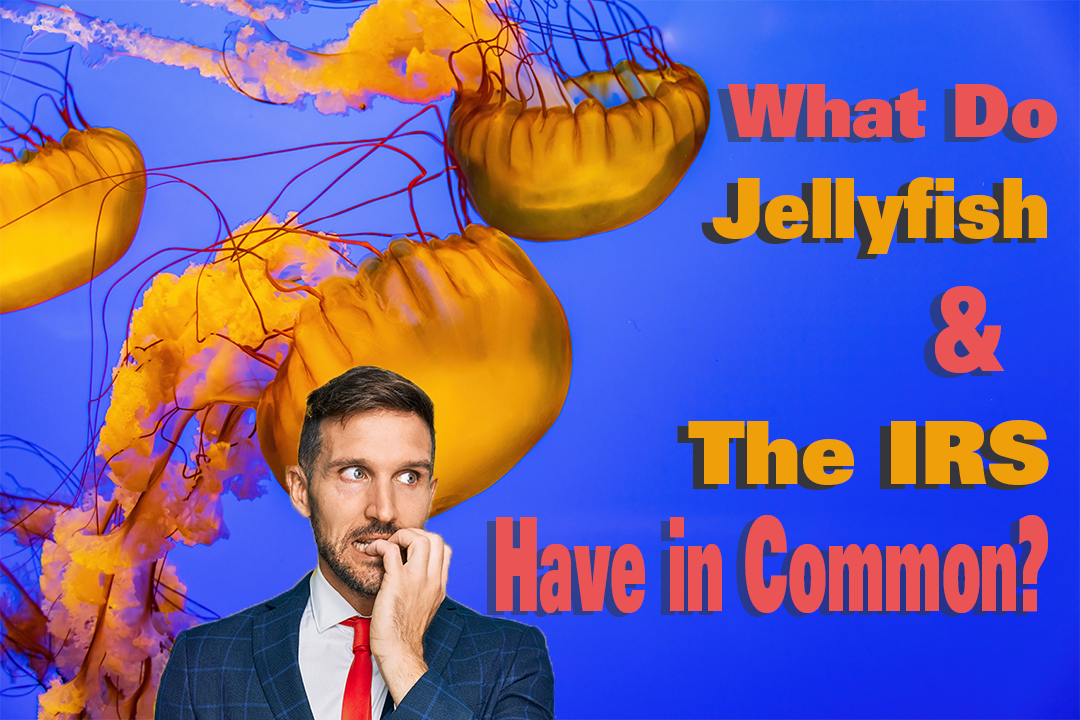 What do Jellyfish & The IRS have in common? Gary Weiss