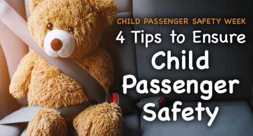 Brown teddy bear strapped into the backseat of a car with a seatbelt.